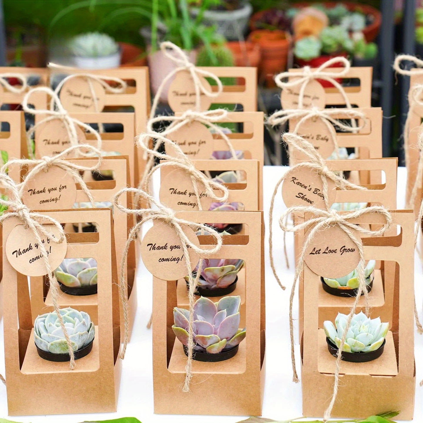 10Set Succulent Wrap Gift Bags - Flower Wrap Kraft ulasan dan harga