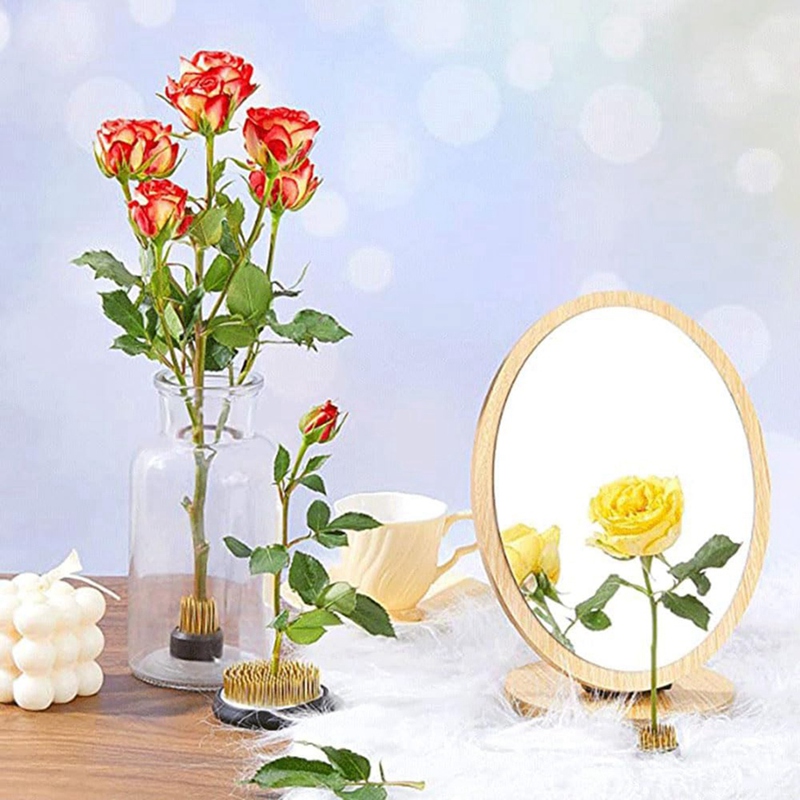 Hot 12PCS Flower Frog, Kenzan  - Flower Frog Pin ulasan dan harga